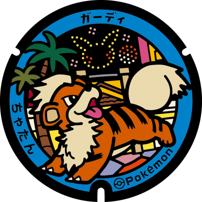 ポケふた